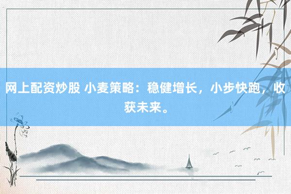 网上配资炒股 小麦策略：稳健增长，小步快跑，收获未来。