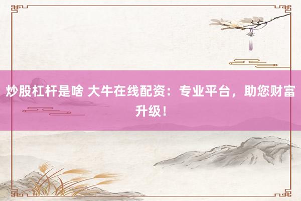 炒股杠杆是啥 大牛在线配资：专业平台，助您财富升级！