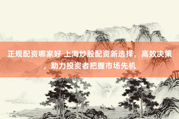 正规配资哪家好 上海炒股配资新选择，高效决策，助力投资者把握市场先机